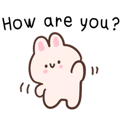 Little Bunny Moments