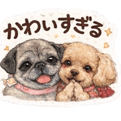 shitan_20260309223016
