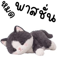 แบดคุง แมวน้อยแสนซน