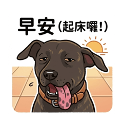 忠犬小黑