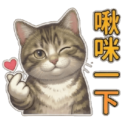 White cat ball loves