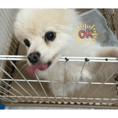 ryosuke_20260310150507