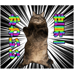 BIG NO_20260310012441