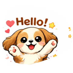 Mimi shop_20260307184207