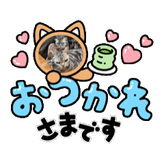 iku_20260311001806cat