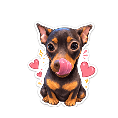 kiico_20260309231309