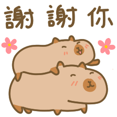 幸運のカピバラ【繁体字】