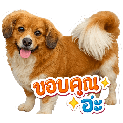 Piyathida_20260310130803