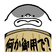 momo_20260310075759