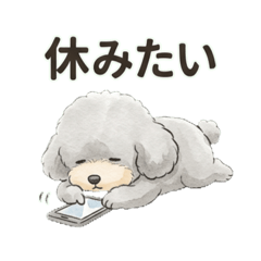 AI illumination Doggy