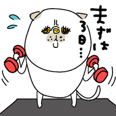 motto's I am a Exotic Shorthair. -ver.4