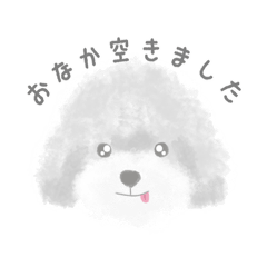 SilverPoodle's dailylife