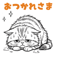 Cute Cat Everyday Conversation Stickers