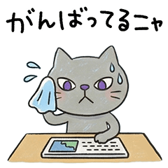 Everyday language Nekonyandesu