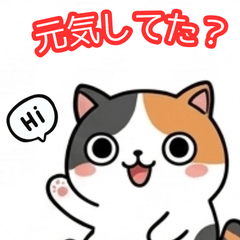 Cute Kittys Random Tweets Stickers