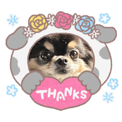 kazumi_20260310200842