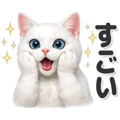 Great for everyday use! White Cat