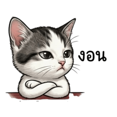 SD YAYEEH_20260310143116