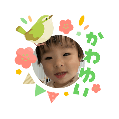wata_20260310190041