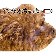 kumao_20260310202835