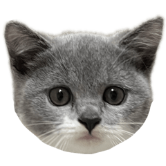 我是Boni ！大家好