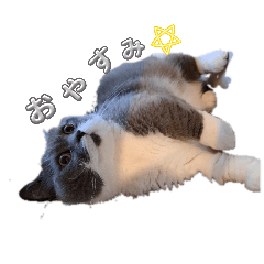 mayumi_20260310171802