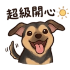 遇見 Yellow，好心情
