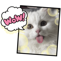 SURIYA_20260310165650