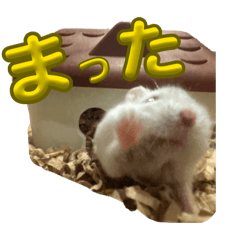 aisan_20260310212627