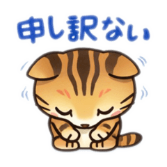 Arnold_20260310155247