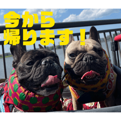 sweetfish_20260310184940