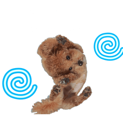 mamekorori_20260310234329