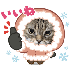 Daikichi_20260311001436