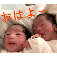 koduck_20260310181318