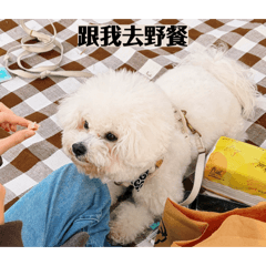 麻糬的假期