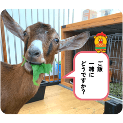 Mugi_20260311002619