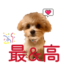 raion_20260310215715
