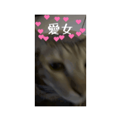 娃娃與鬱鬱