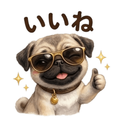 Simple Cute Daily Pug Stickers