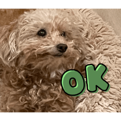 nekochan_20260310204300