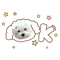 honono_20260311083643