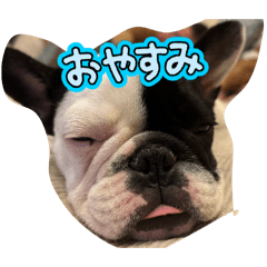 miyamo_20260311133149