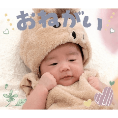 Hiiichan_20260311130125