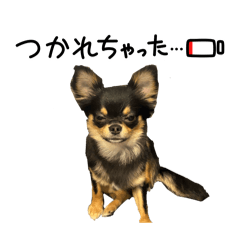 mitan_20260310231054