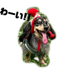 Sammy_20260311143739