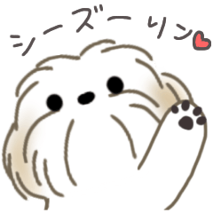 シーズー犬りんくん