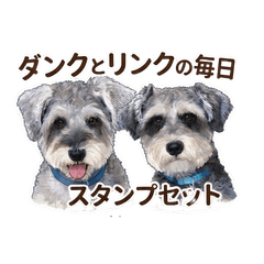 Dunk&Link