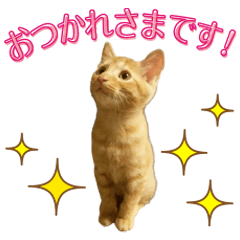natsuo's Sticker@ringonohoppe