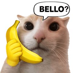 Silly Goofy Dip Catto V.7