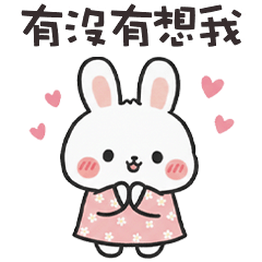 (=＾x＾=) 小肥兔有沒有想我
